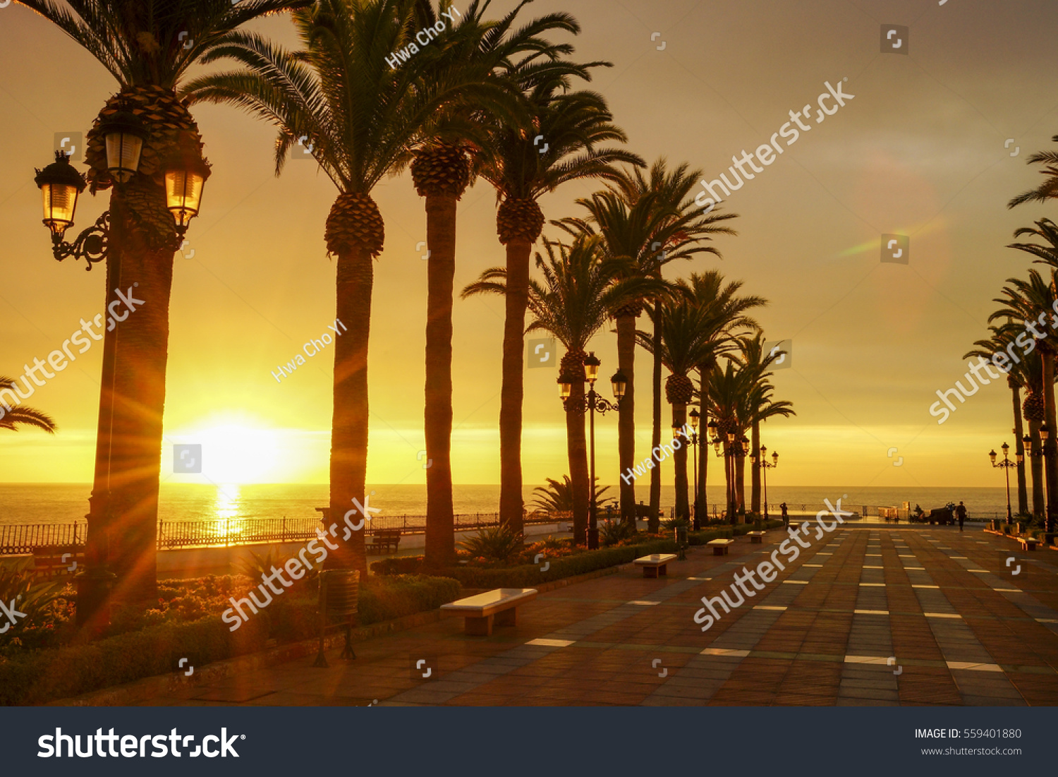 stock-photo-palm-trees-and-sunrise-at-balcony-of-europe-in-nerja-spain-559401880